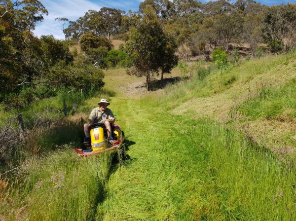 Commercial garden machinery ride-on-mower supplier of CM1401H in Perth