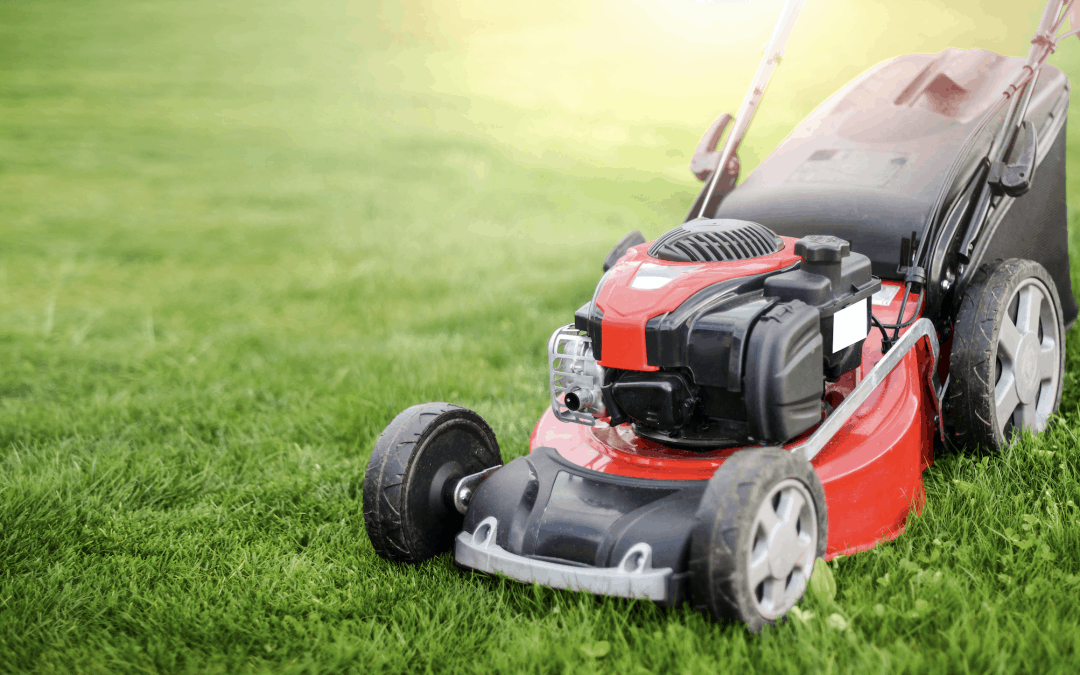 The Importance of Edging Your Lawn