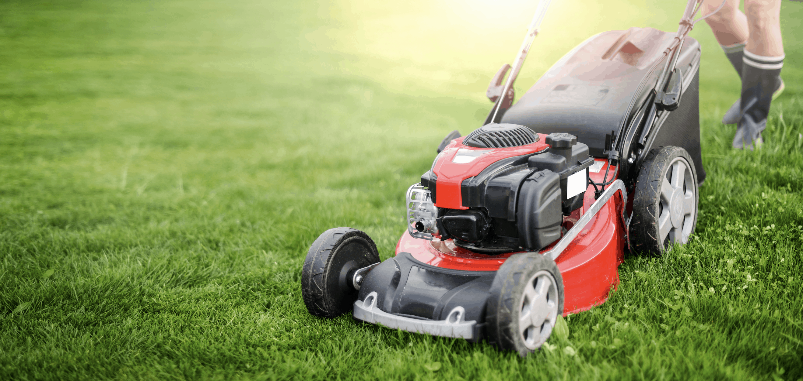 Best lawn edgers 2021 online