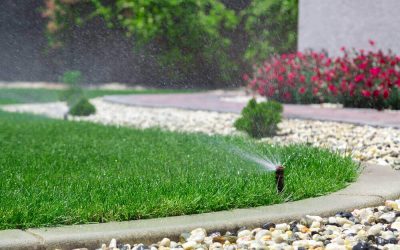 The Best Time of Day to Water Your Lawn (and How Often)