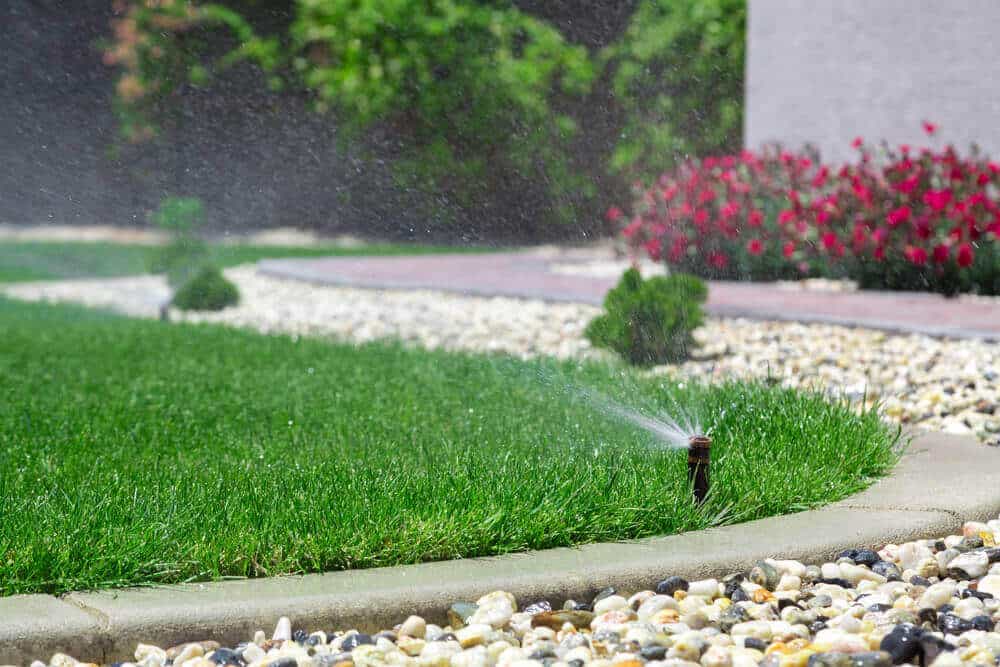 The Best Time of Day to Water Your Lawn (and How Often)