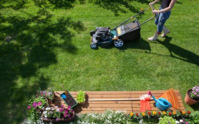 Must-Have Gardening Products for a Manicured Lawn