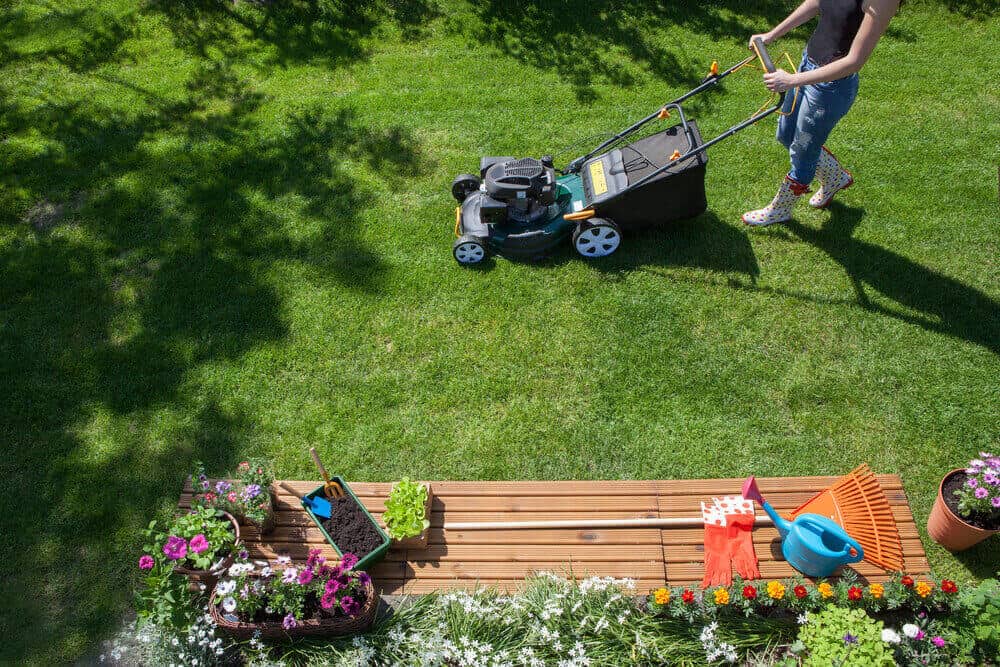 9 Essential Gardening Tools for the Perfect Lawn