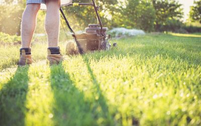 How to Extend the Lifespan of Your Lawn Mower