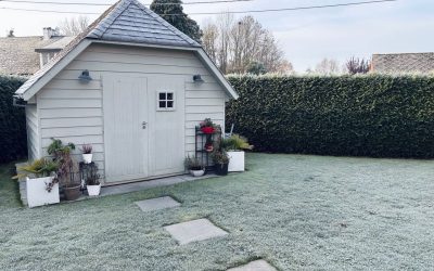 Winter Lawn Care
